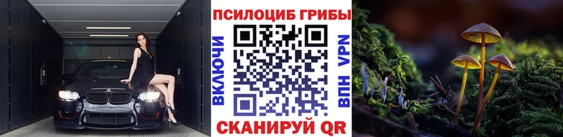как найти   Волжск  Псилоцибиновые грибы Psilocybine cubensis 